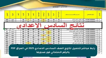 رابط مباشر لتحميل نتائج الصف السادس الإعدادي 2025 في العراق PDF بالرقم الامتحاني فور صدورها